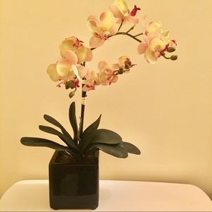 Artificial Baby Pink Orchid in Black Cube Vase